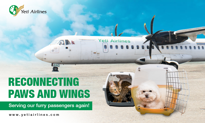 Live Animal Transportation Service